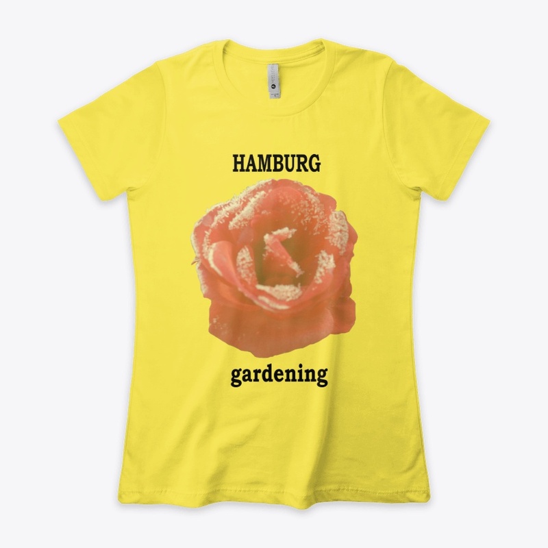Hamburg gardening rose