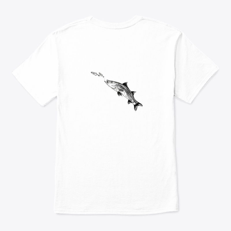 Snook 