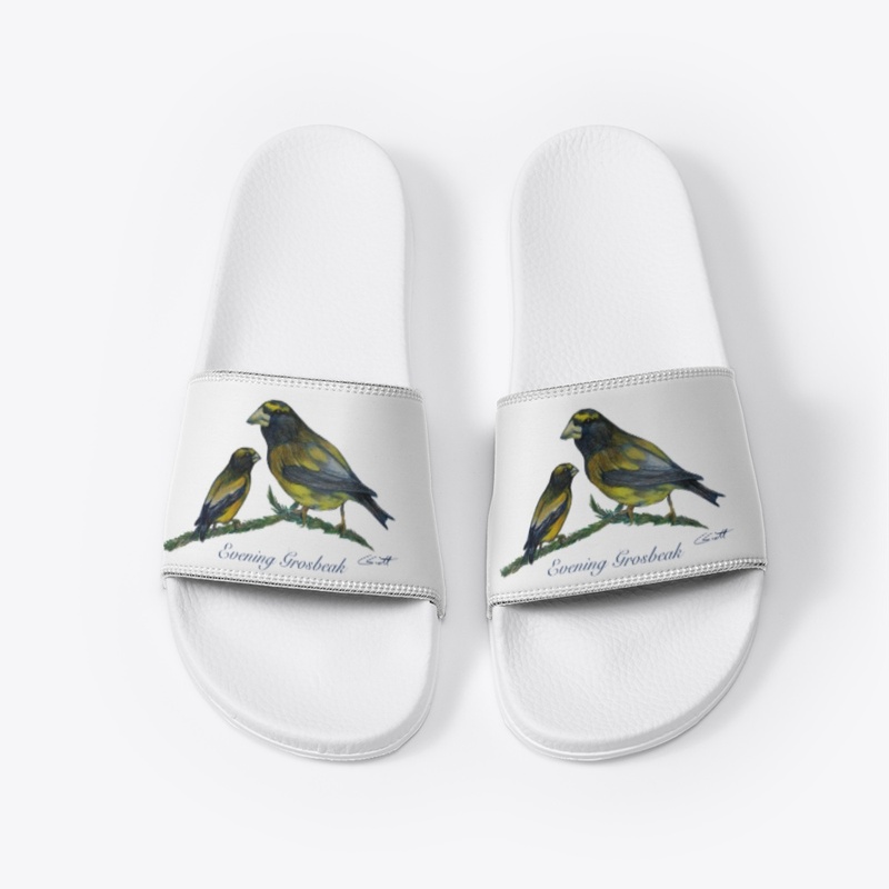 White Slides - Evening Grossbeak