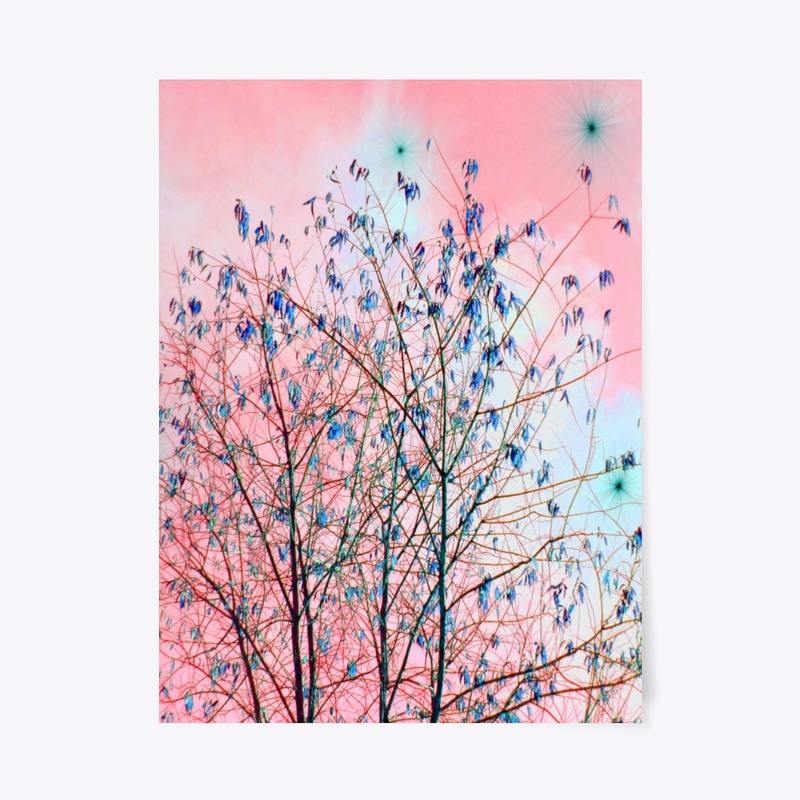 pink sky blue tree