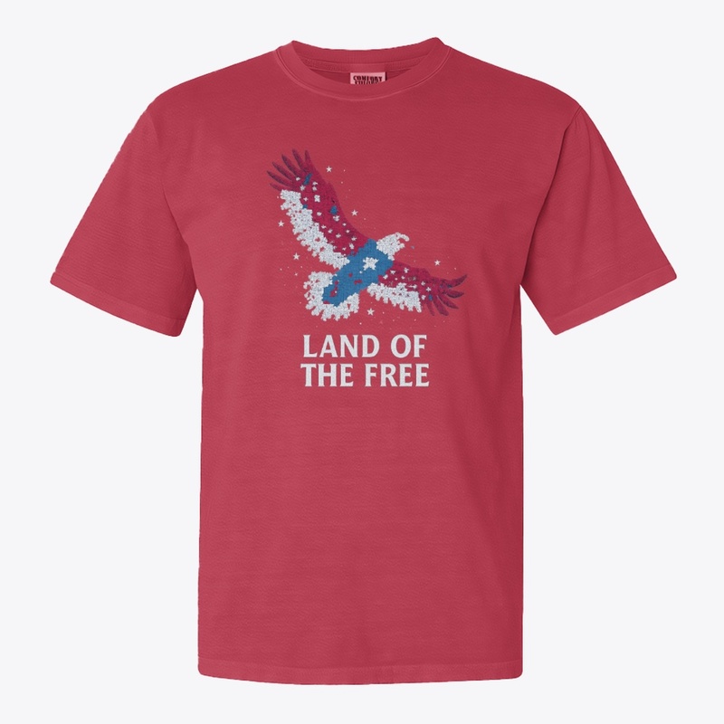American eagle t-shirt  land of the free