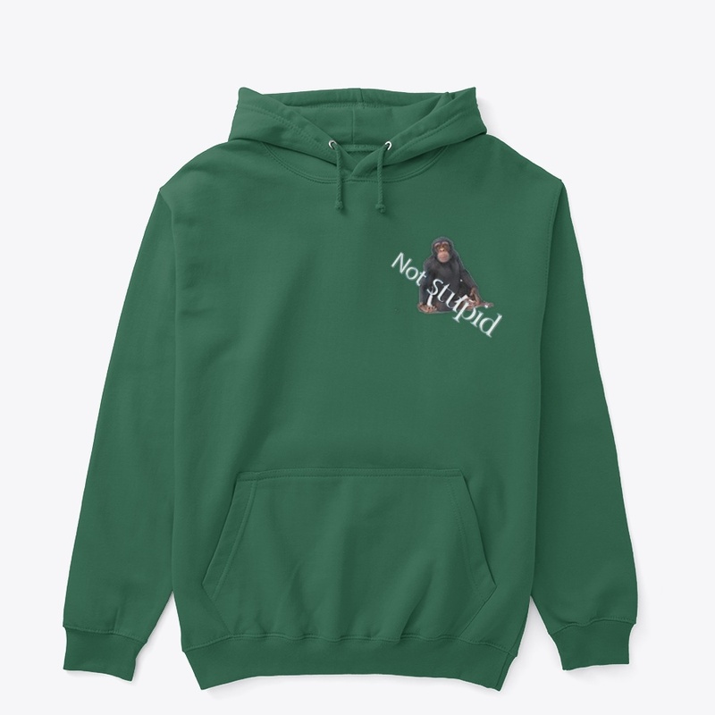 not stupid design teespring pullover