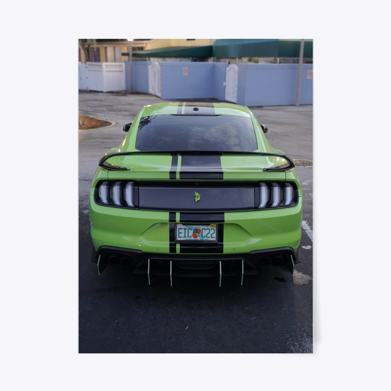 Low-Lit Rear Sally Shot 