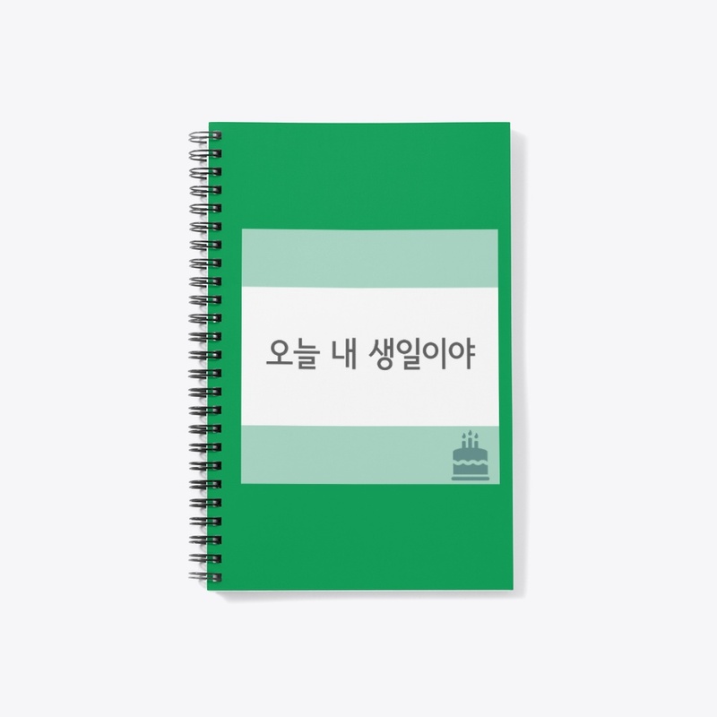 오늘 내 생일이야 Today is my birthday 
