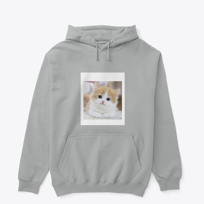 Cute Kitten Vibes