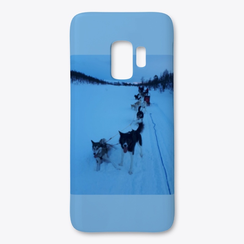 Norway - Dog Sledding
