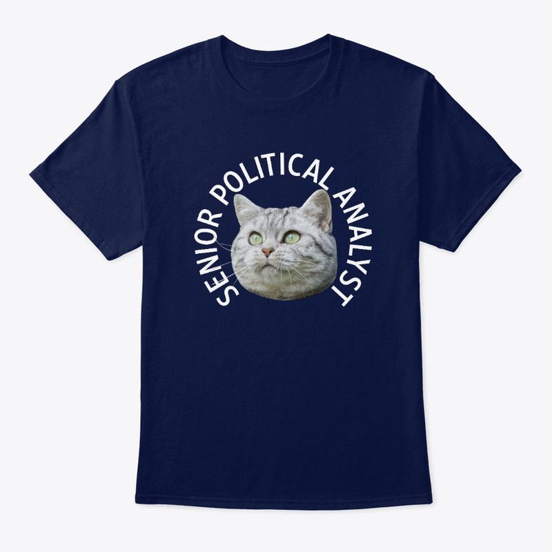 Senior Political Analyst