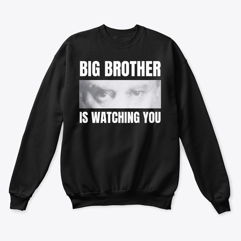 BIG BROTHER IS WATCHING YOU