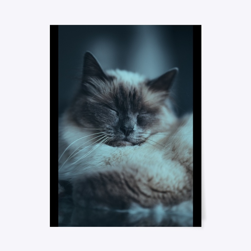 Poster - 18" x 24"