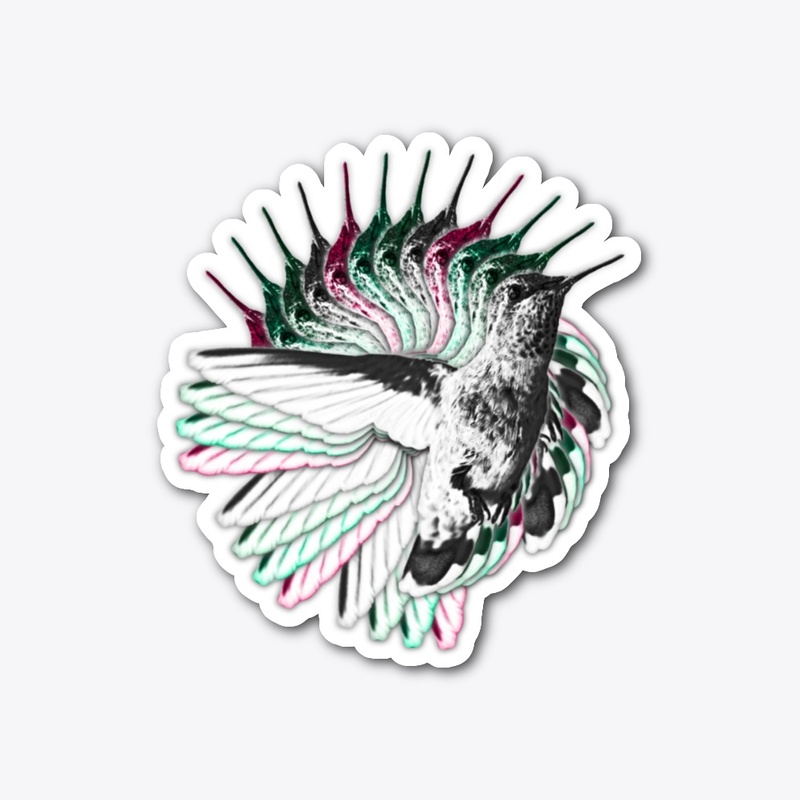 Hummingbird Design Accessories!