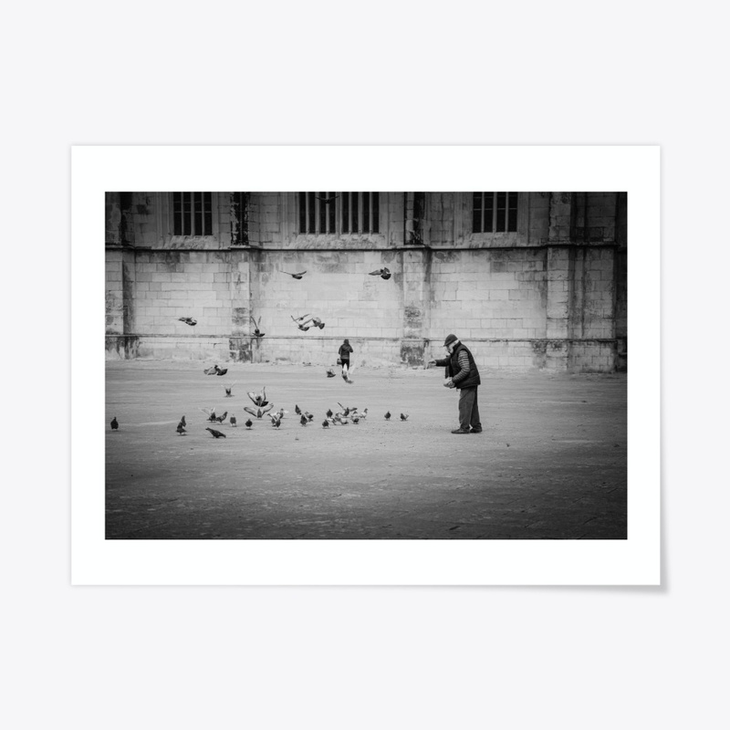 Feeding the pigeons