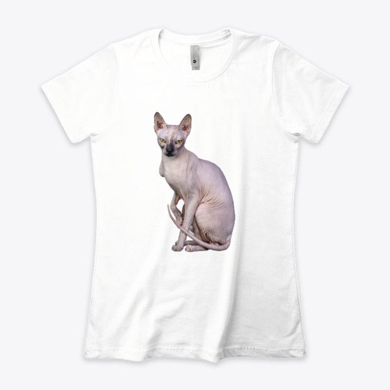 Kiss me chat