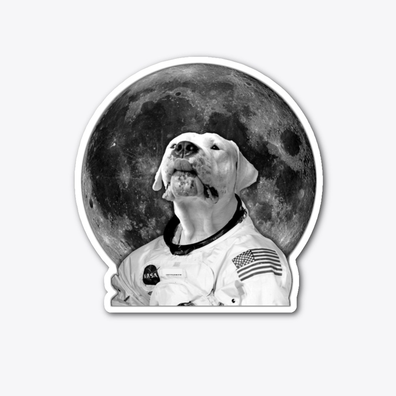 DOGONAUTS N.1- To the moon and back