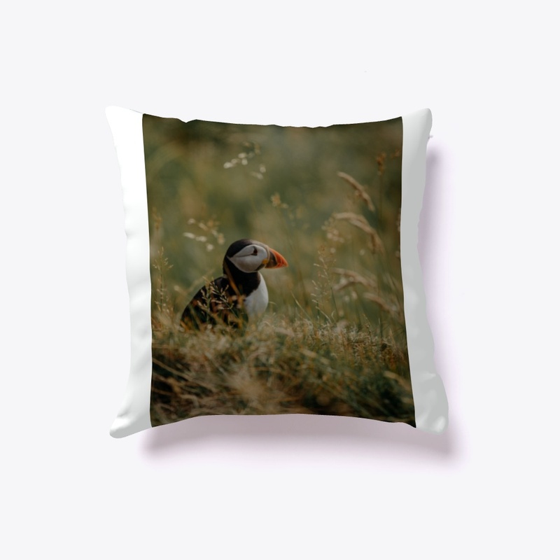Indoor Pillow