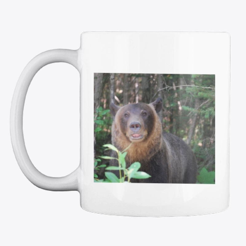 grizzly bear 
