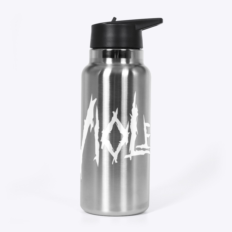 Violent Eden Logo water bottle