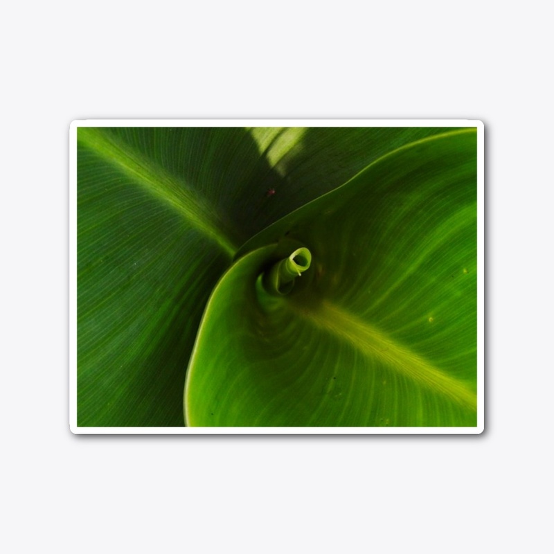 green leaf spiral