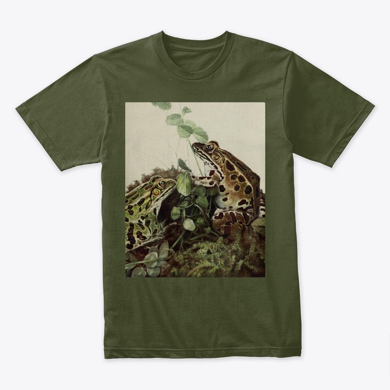 Frog Book 1