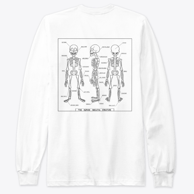 Human Skeletal Structure