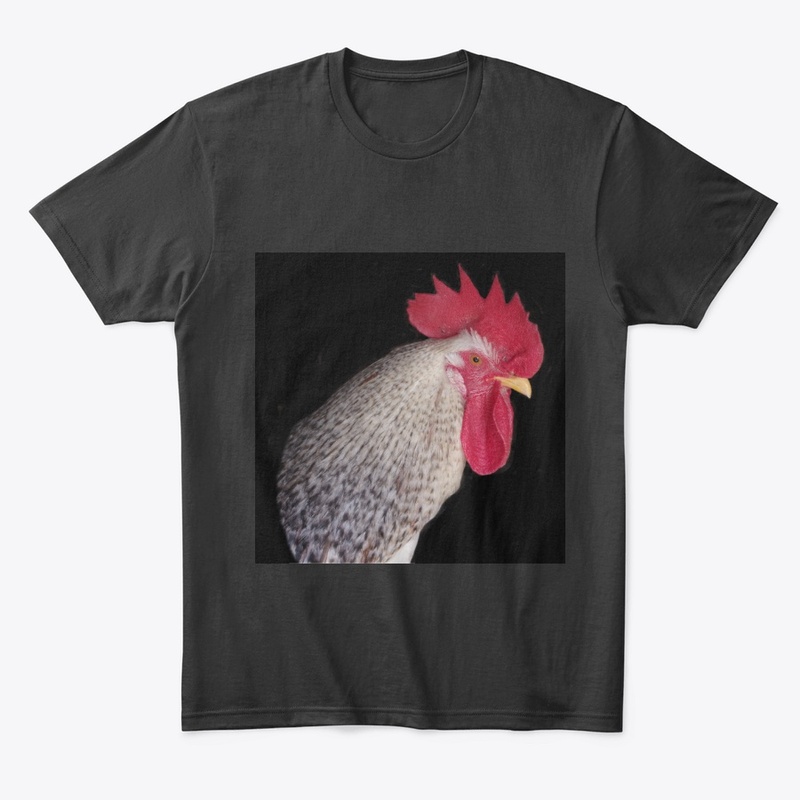rooster2