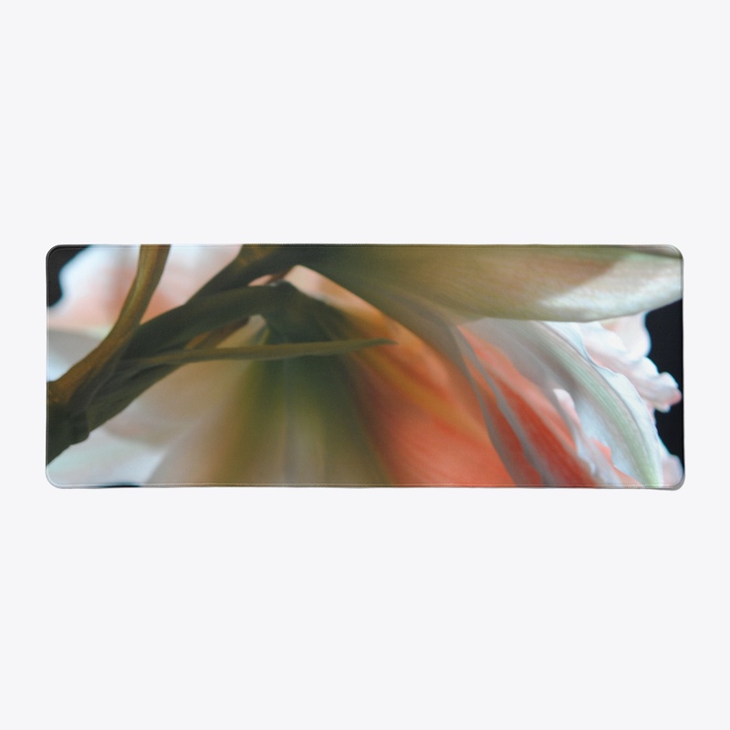 Amaryllis In The Light