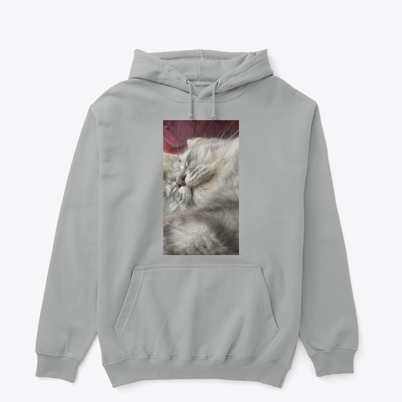 Gunday Cat