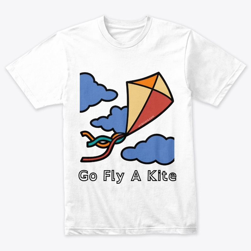Fly a kite
