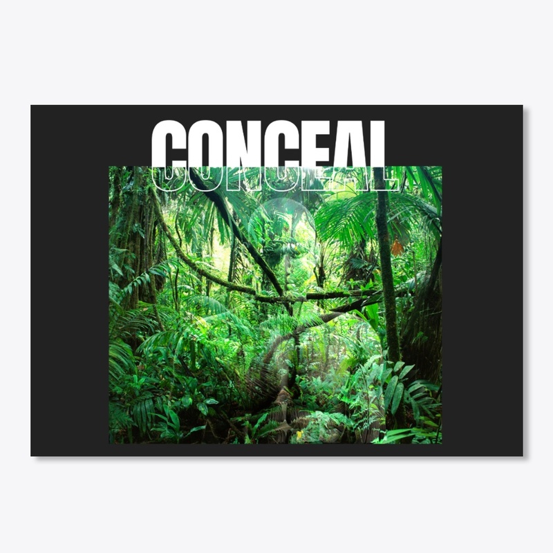 Conceal - The art of blending In