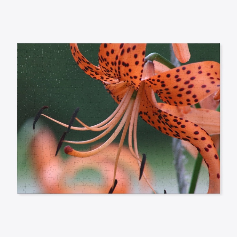 Flower 18