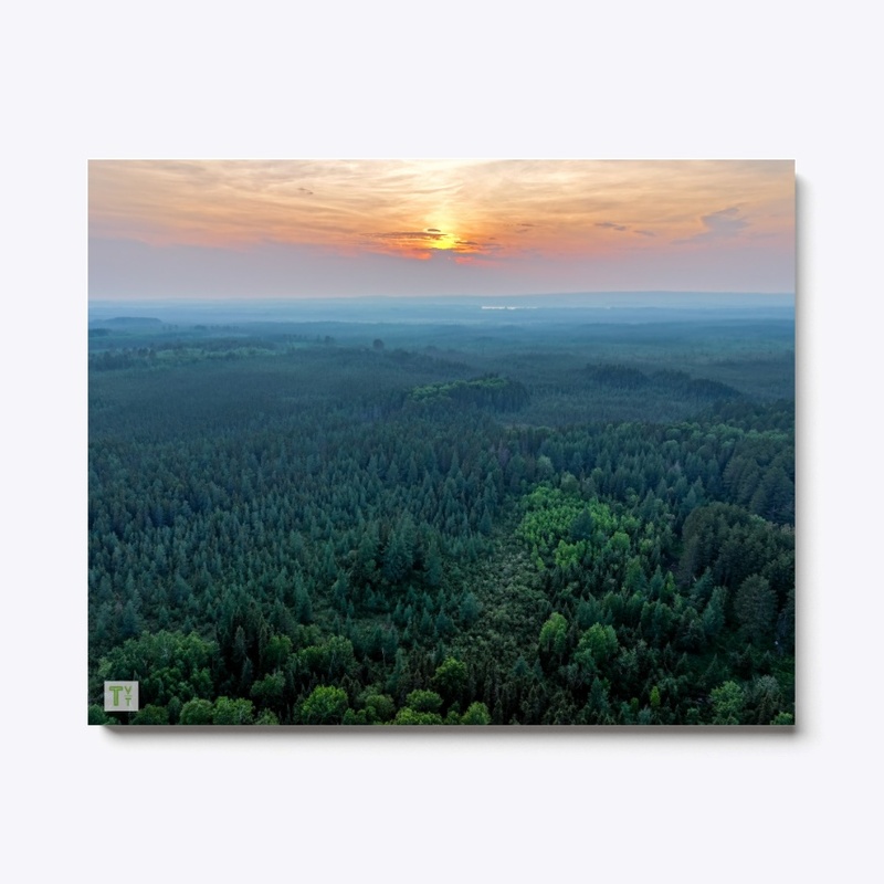 *TVT Print* - Clyde Rd Aerial