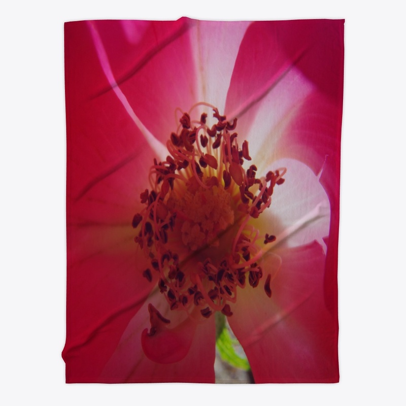 rose flower garden