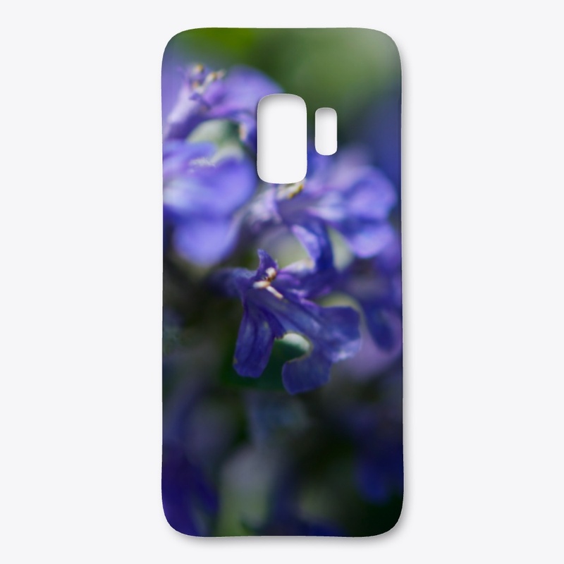 Blue and purple flowers in nature