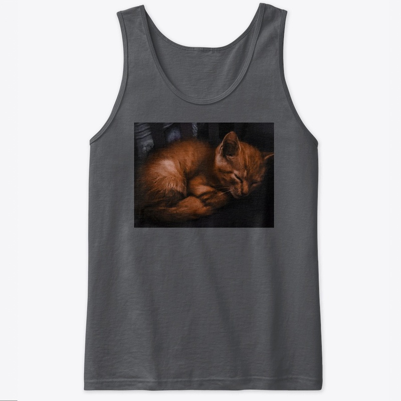 Sonic the Reinassance kitten