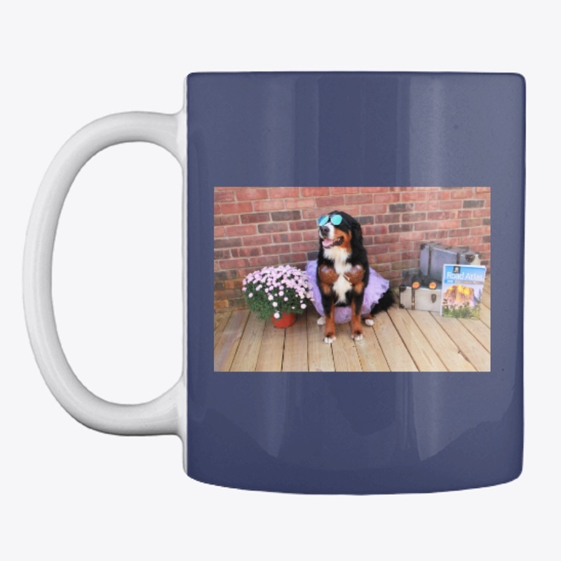 Bernese Living the life