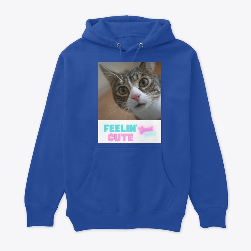Sweet cat