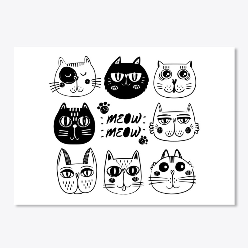 funny cats