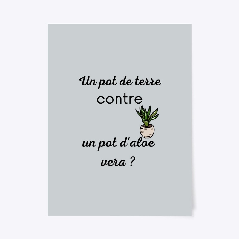 pot de terre contre un pot d'aloe vera ?