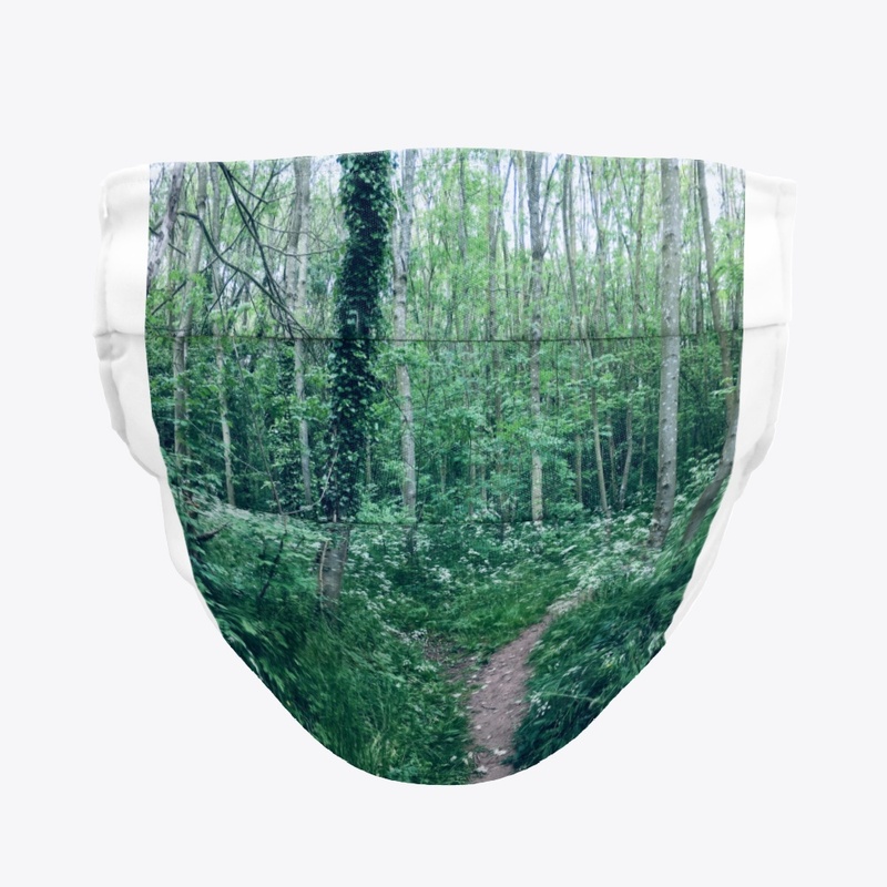 Woodland walkway