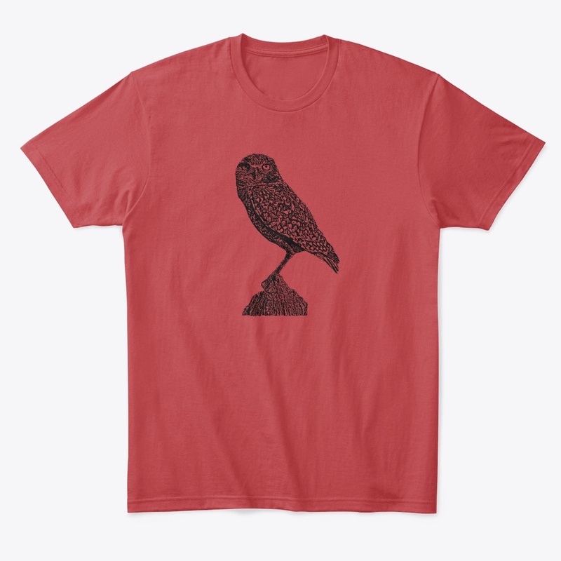 Burrowing Owl