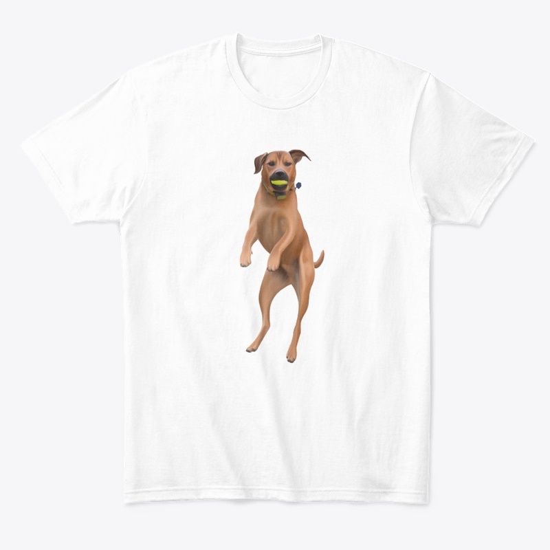 Jumping Dog with Ball