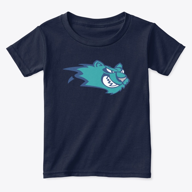 Worcester IceCats Hockey