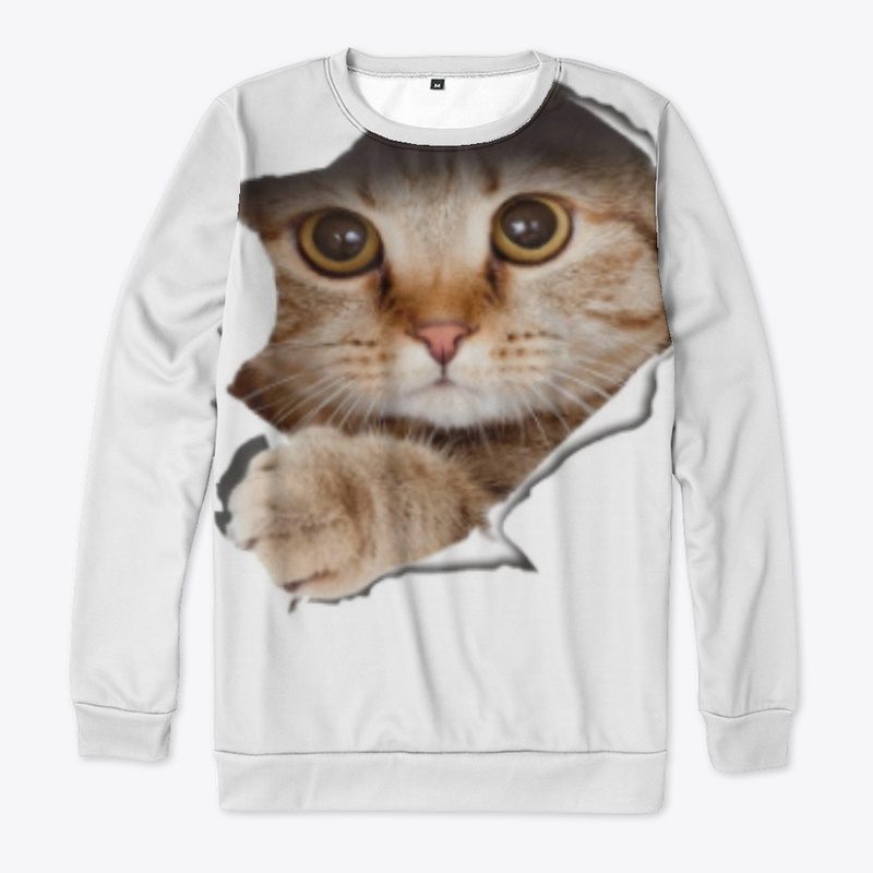 CAT IS COMING OUT
