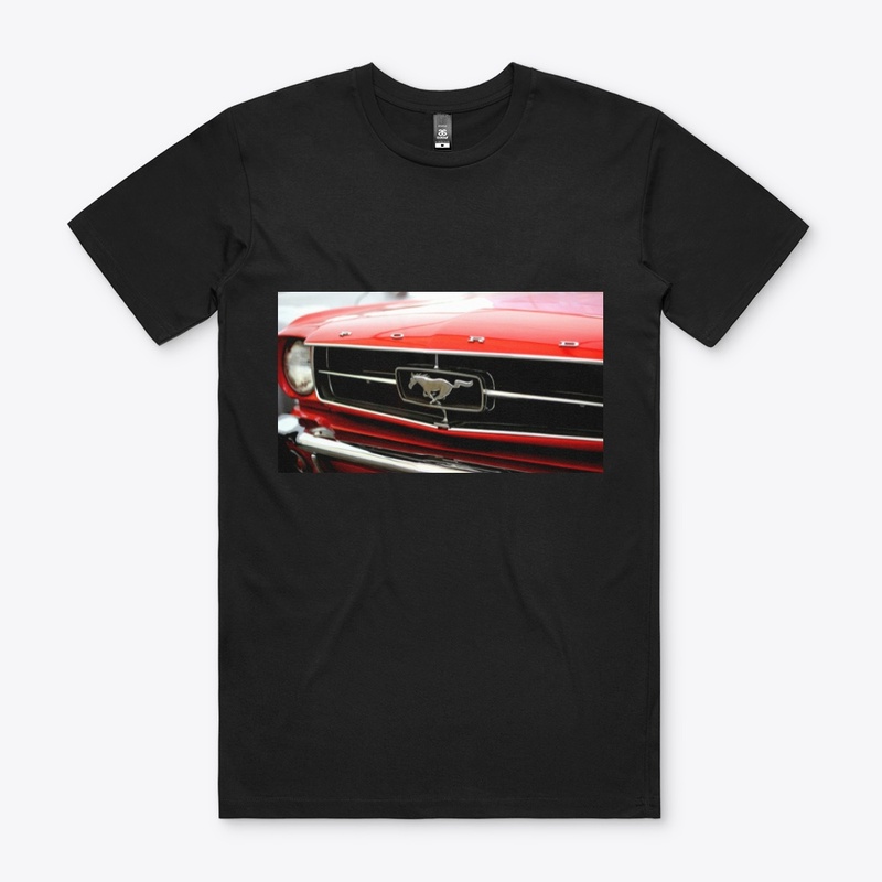 The Muscle