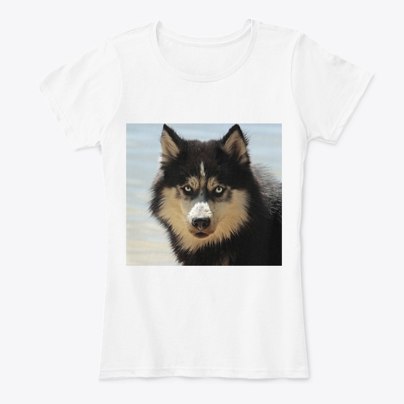 Dog 🐕
