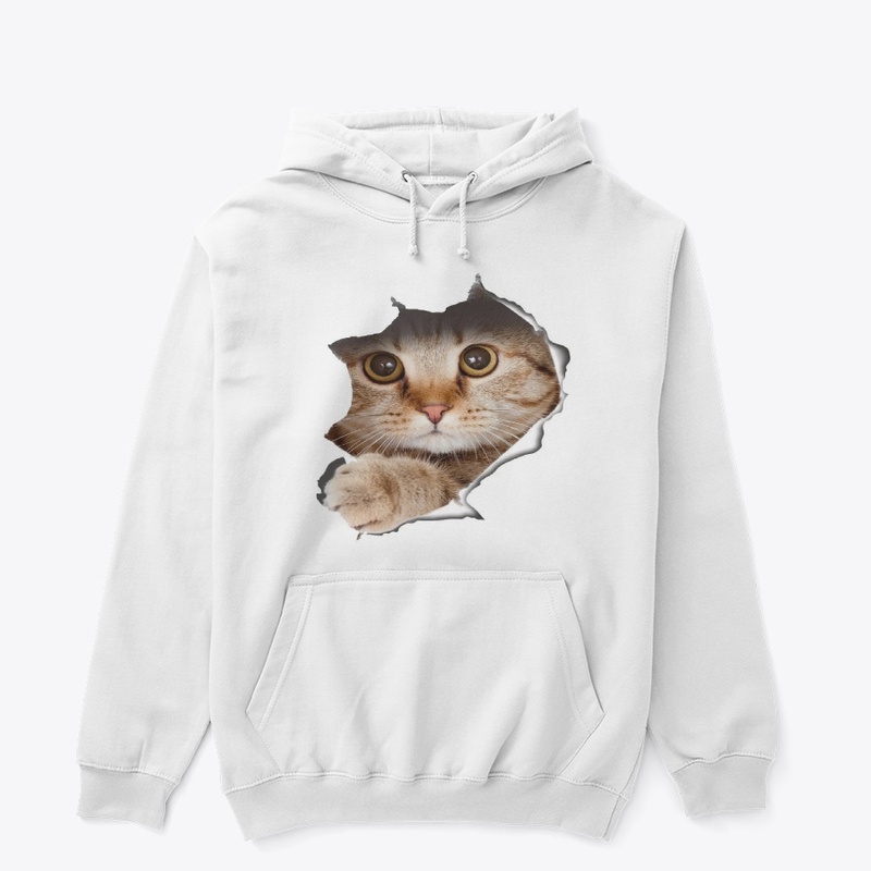 CAT IS COMING OUT