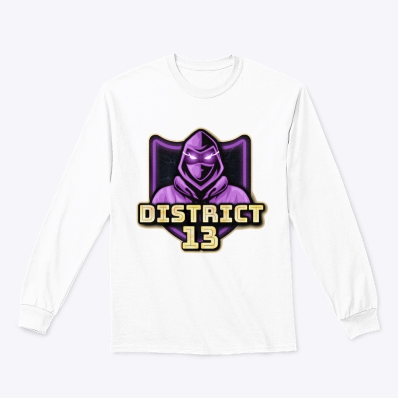 D13