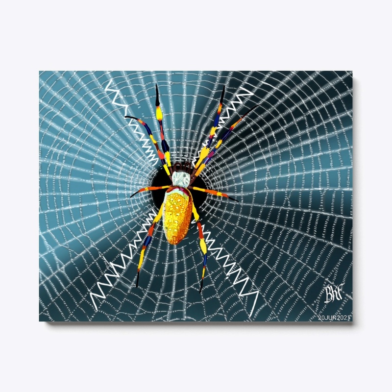 Banana Spider
