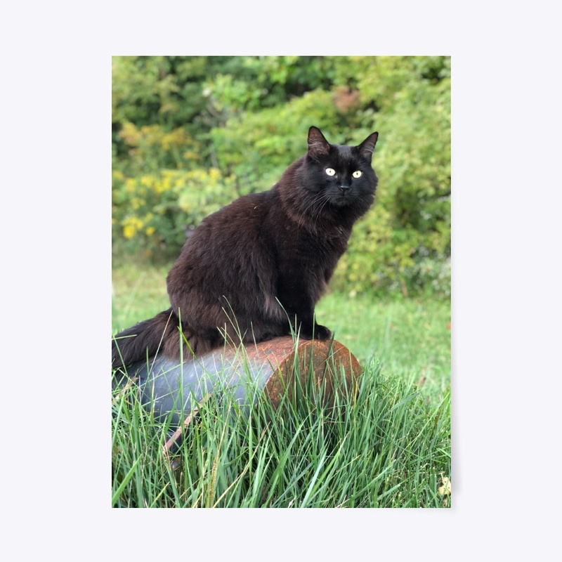mowgli 