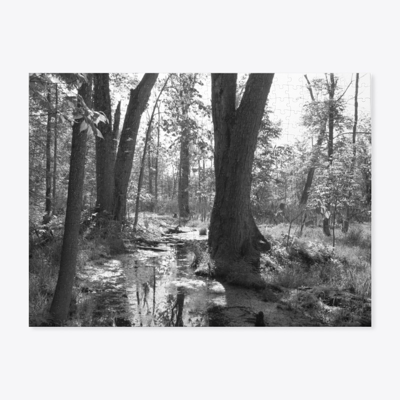 B&W Marshlands 2