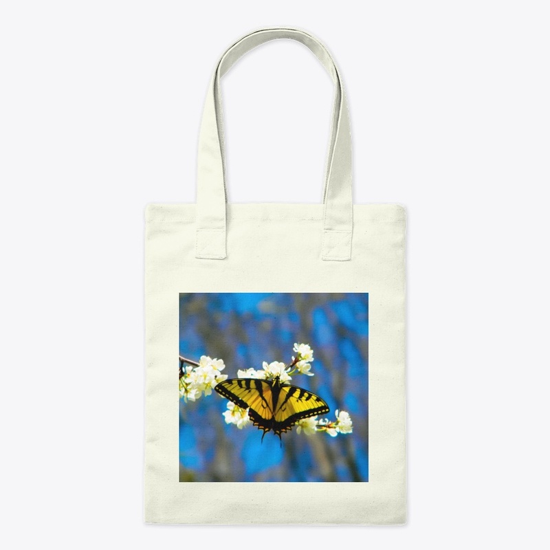 Beautiful Black and Yellow Butterfly